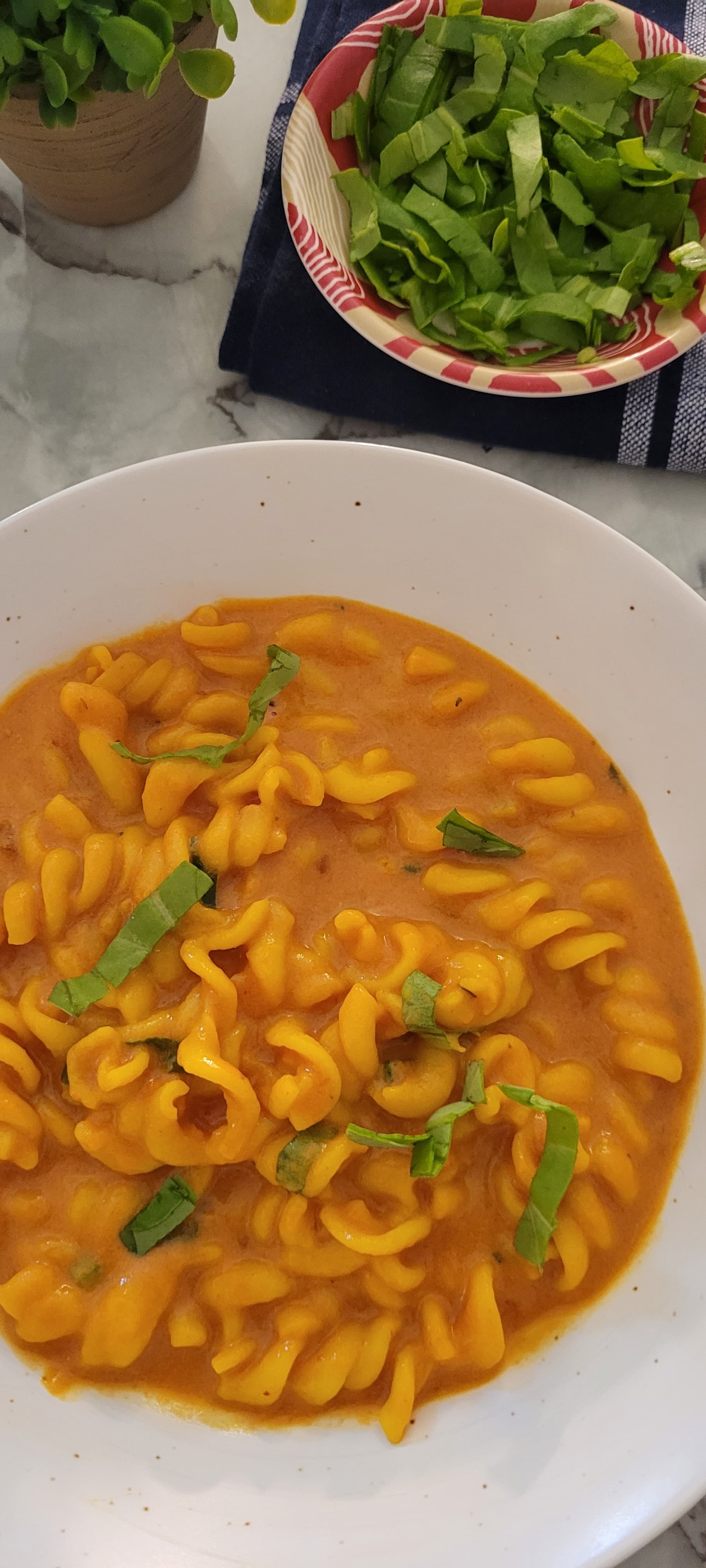 A comforting bowl of creamy pasta finished with fresh green herbs