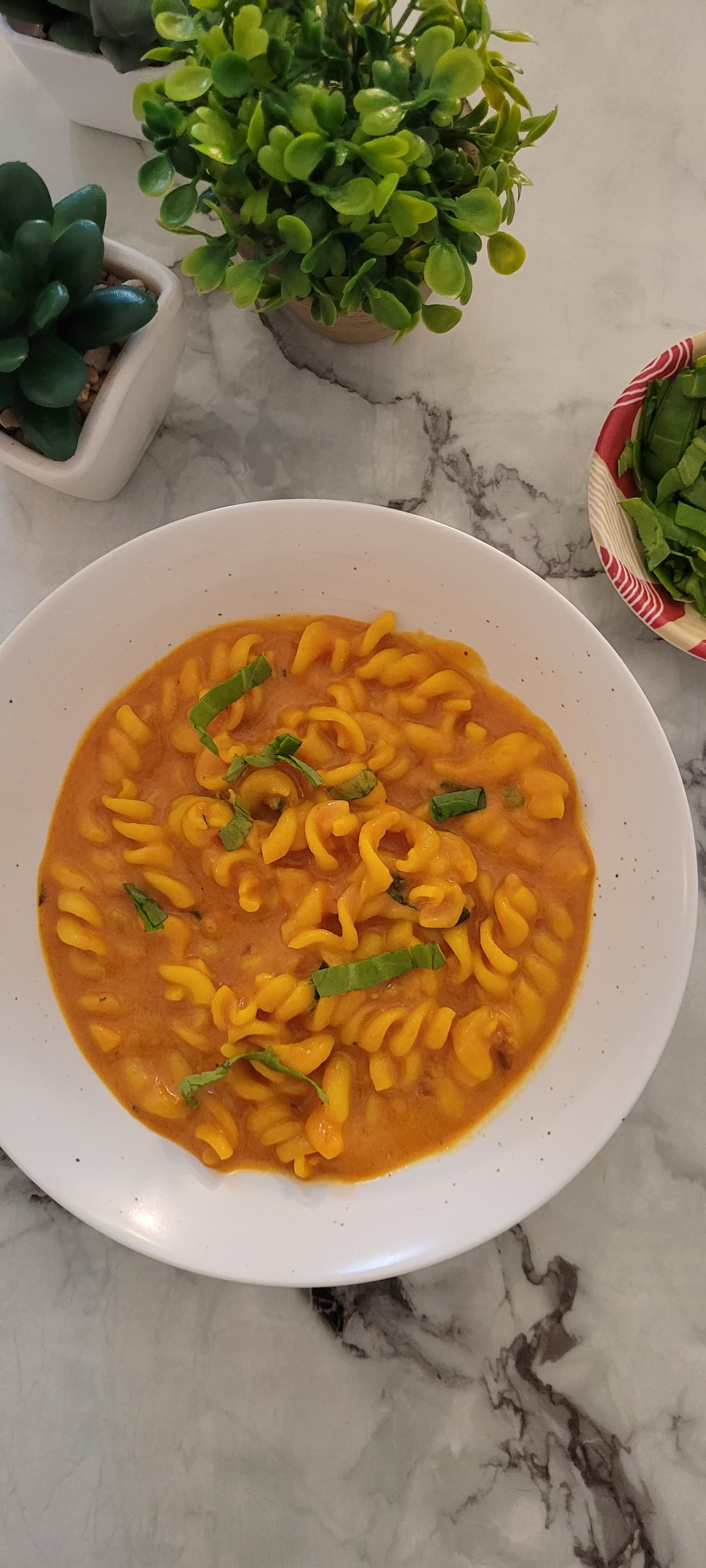 Creamy pasta in a bowl with herbs ready to serve